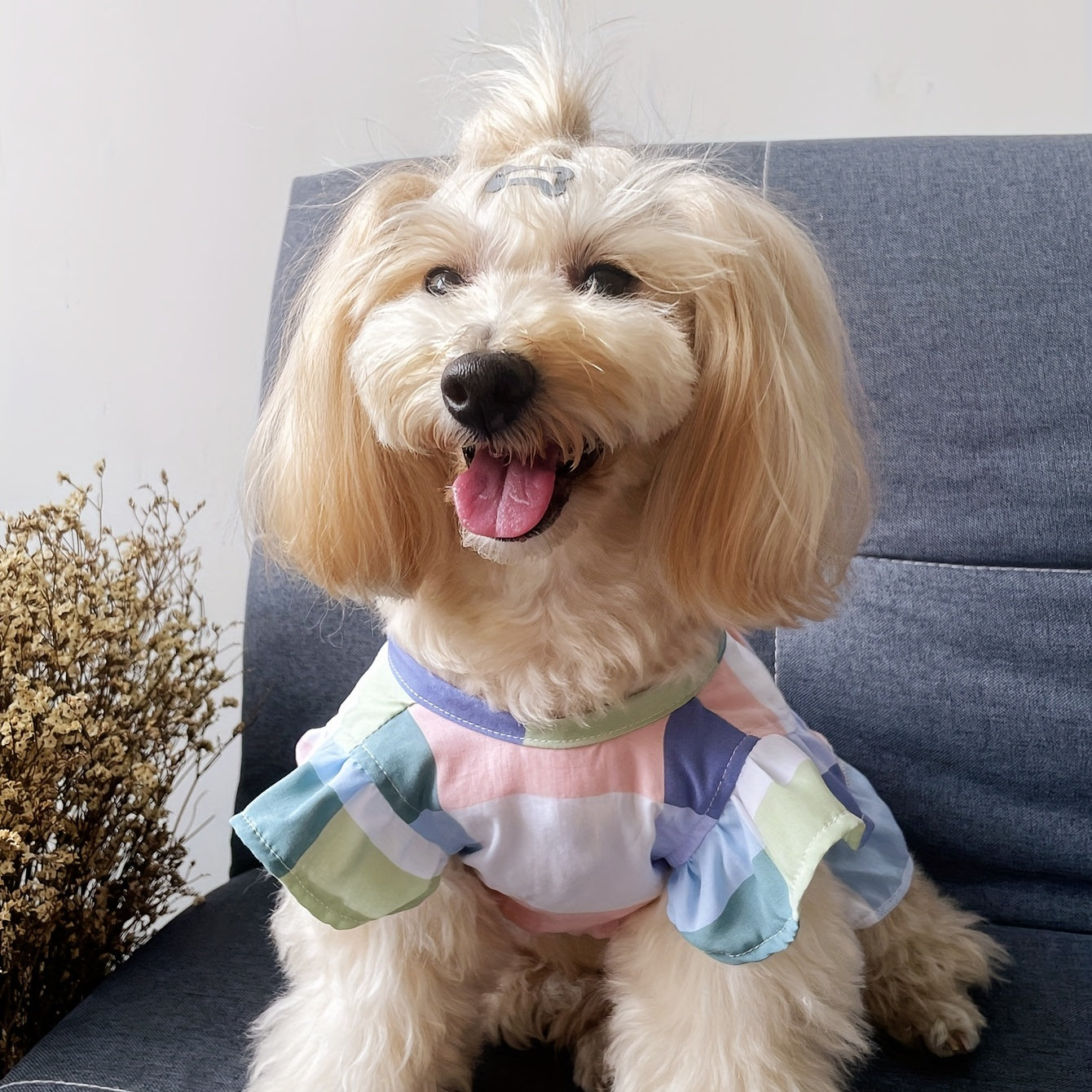 1pc Pet Breathable V-Neck Ruffle Sleeve Plaid Dress with Tie, Polyester Woven Pullover for Small to Medium Breeds, Dog and Cat Home Vacation Style Outfit, Home Leisure Attire | Playful Pet Outfit | Durable Pet Dress, Pet Clot