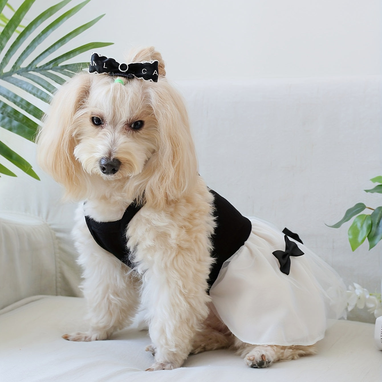 [Popular Choice] Chic Hepburn-Inspired Pet Dress with Bowknot - Breathable Mesh Tutu Skirt for Small to Medium Dogs and Cats, Perfect for Spring & Summer, Butterfly Knot, Suitable for All Seasons