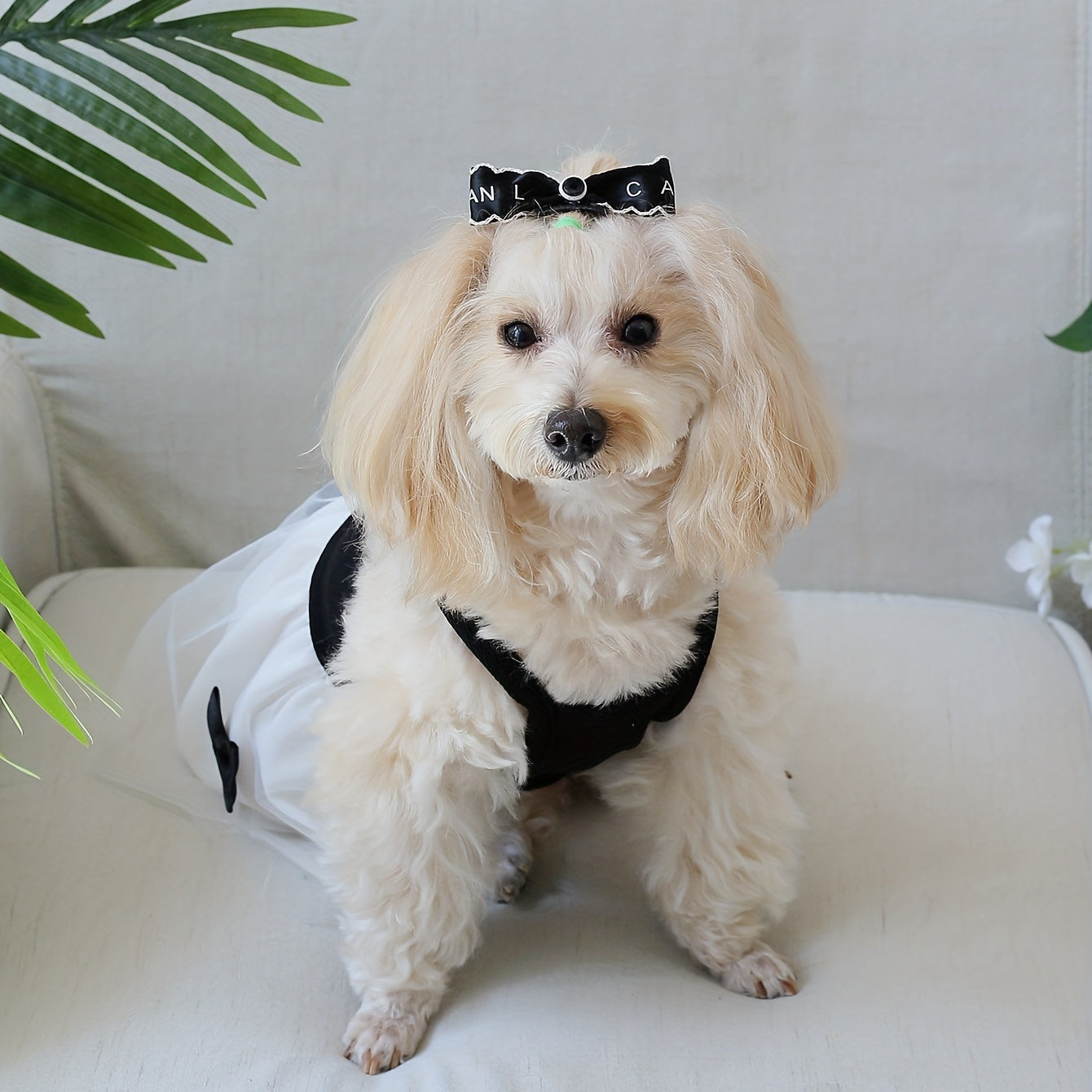 [Popular Choice] Chic Hepburn-Inspired Pet Dress with Bowknot - Breathable Mesh Tutu Skirt for Small to Medium Dogs and Cats, Perfect for Spring & Summer, Butterfly Knot, Suitable for All Seasons