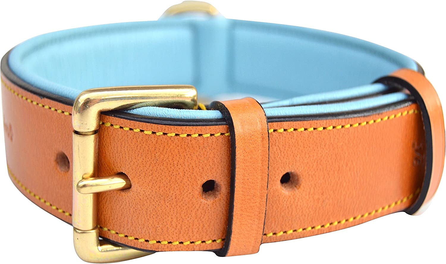 Leather Padded Dog Collar, Extra Large, Tan and Teal, Heavy Duty Brass Buckle, 28" Long X 1 3/4" Wide, Neck Size 22" to 25", Size XL