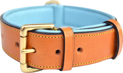 Leather Padded Dog Collar, Extra Large, Tan and Teal, Heavy Duty Brass Buckle, 28" Long X 1 3/4" Wide, Neck Size 22" to 25", Size XL