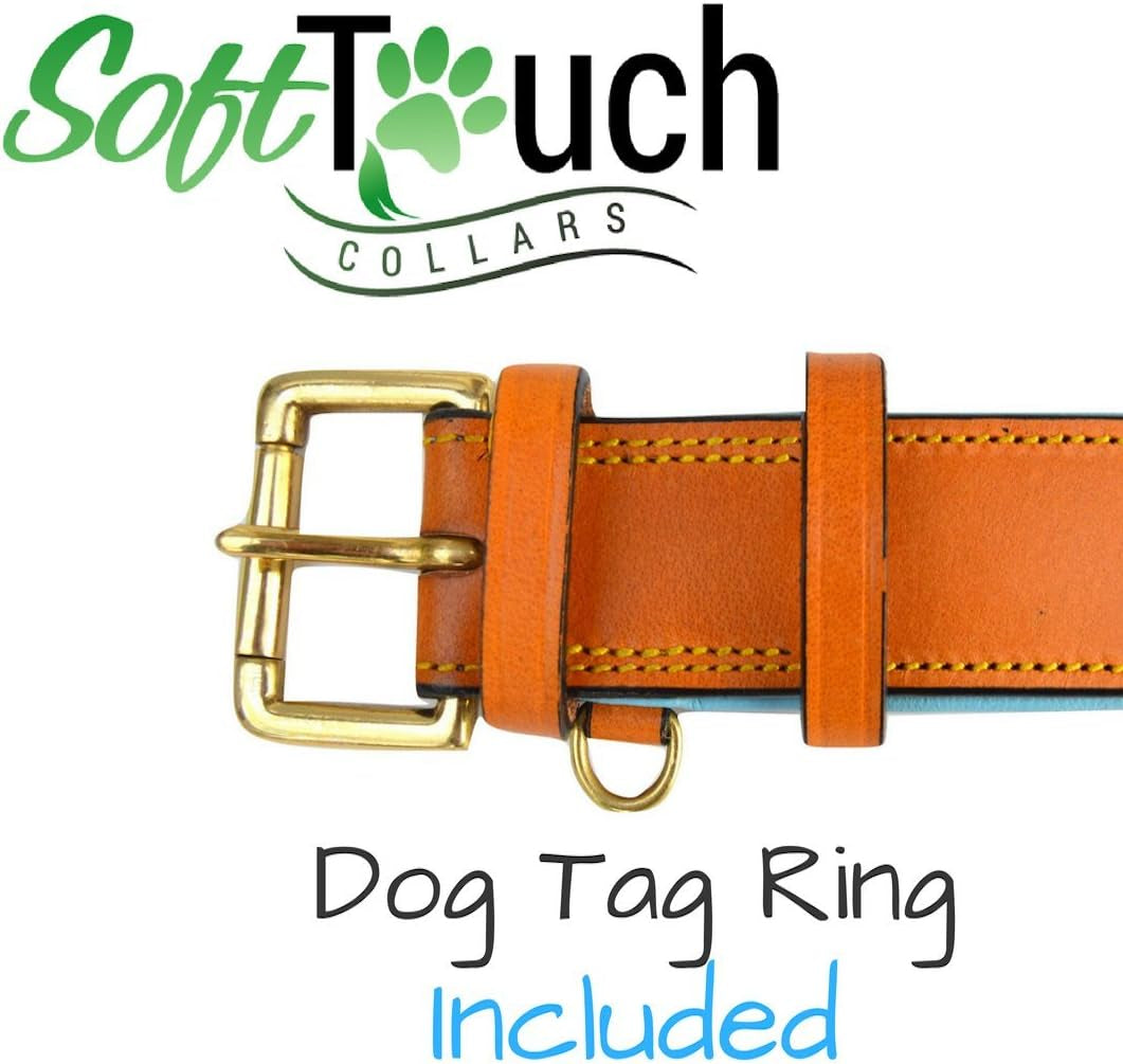 Leather Padded Dog Collar, Extra Large, Tan and Teal, Heavy Duty Brass Buckle, 28" Long X 1 3/4" Wide, Neck Size 22" to 25", Size XL