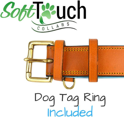Leather Padded Dog Collar, Extra Large, Tan and Teal, Heavy Duty Brass Buckle, 28" Long X 1 3/4" Wide, Neck Size 22" to 25", Size XL