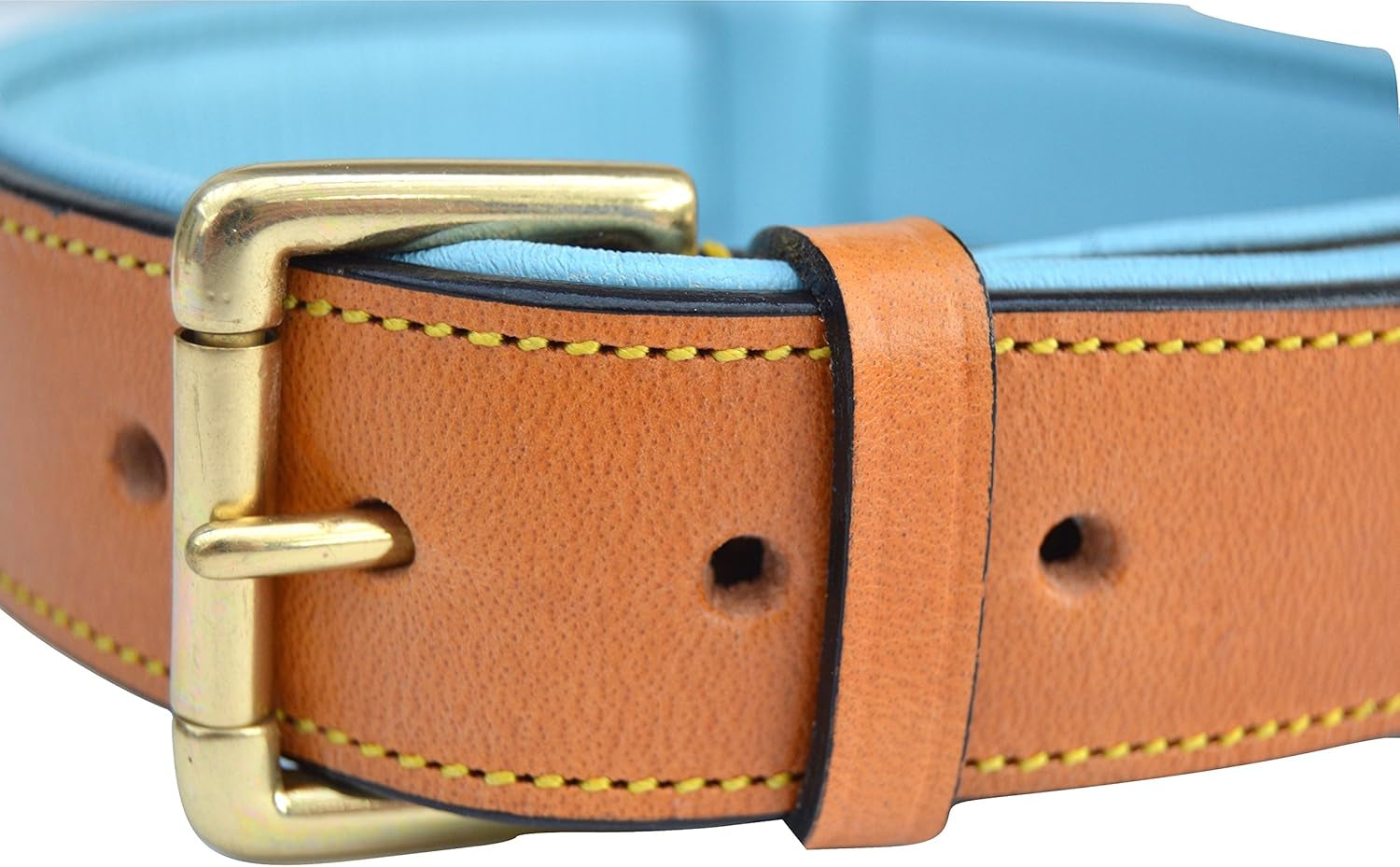 Leather Padded Dog Collar, Extra Large, Tan and Teal, Heavy Duty Brass Buckle, 28" Long X 1 3/4" Wide, Neck Size 22" to 25", Size XL
