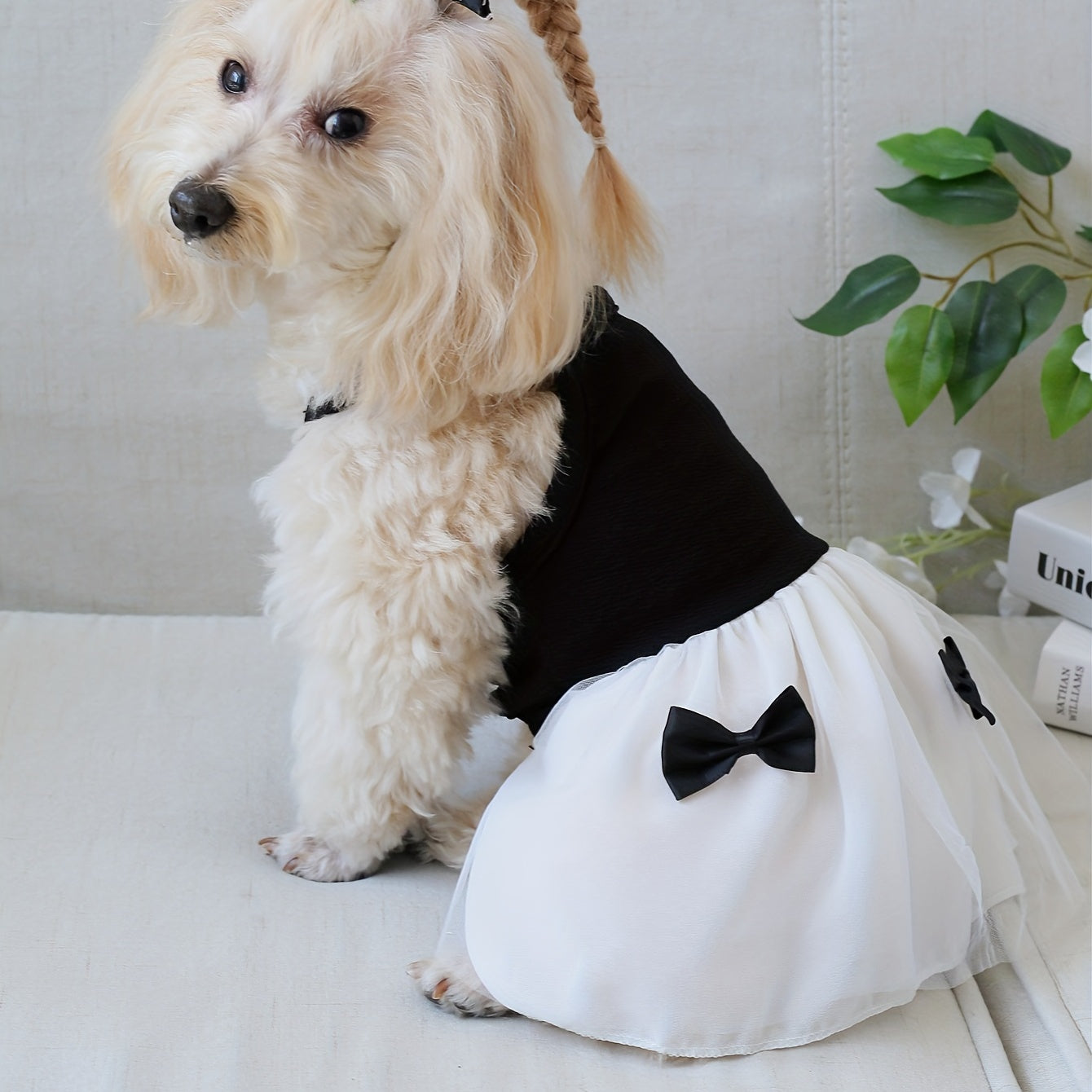 [Popular Choice] Chic Hepburn-Inspired Pet Dress with Bowknot - Breathable Mesh Tutu Skirt for Small to Medium Dogs and Cats, Perfect for Spring & Summer, Butterfly Knot, Suitable for All Seasons