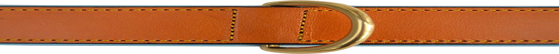Leather Padded Dog Collar, Extra Large, Tan and Teal, Heavy Duty Brass Buckle, 28" Long X 1 3/4" Wide, Neck Size 22" to 25", Size XL